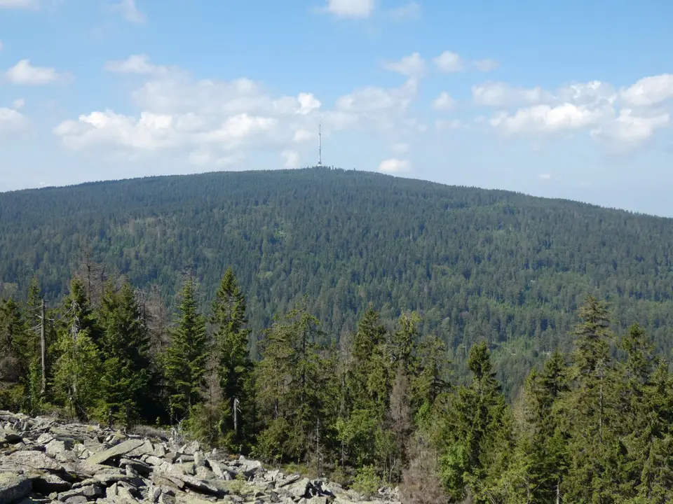 P1030545.JPG