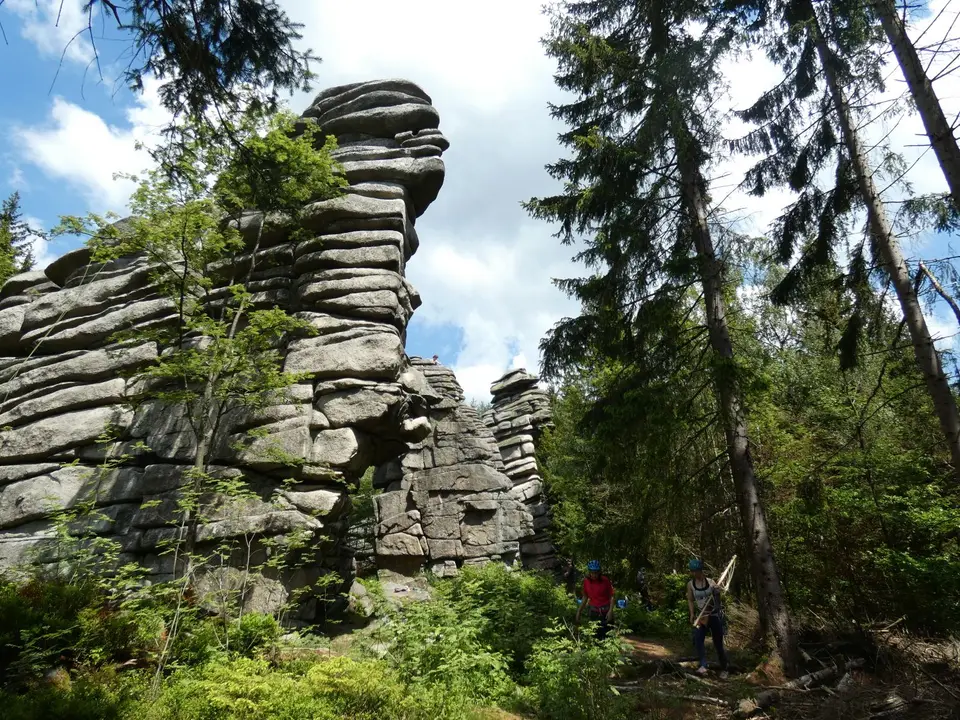 P1030556.JPG