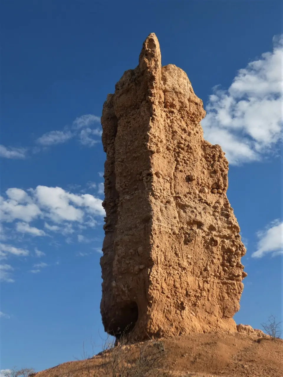 P1070693-2.JPG
