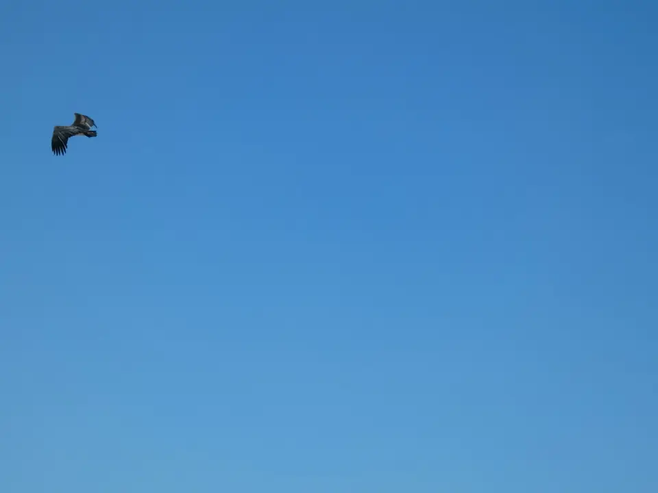 P1080163.JPG