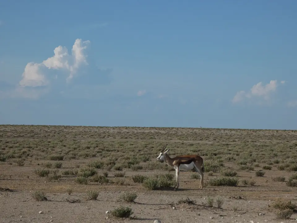 P1080355.JPG