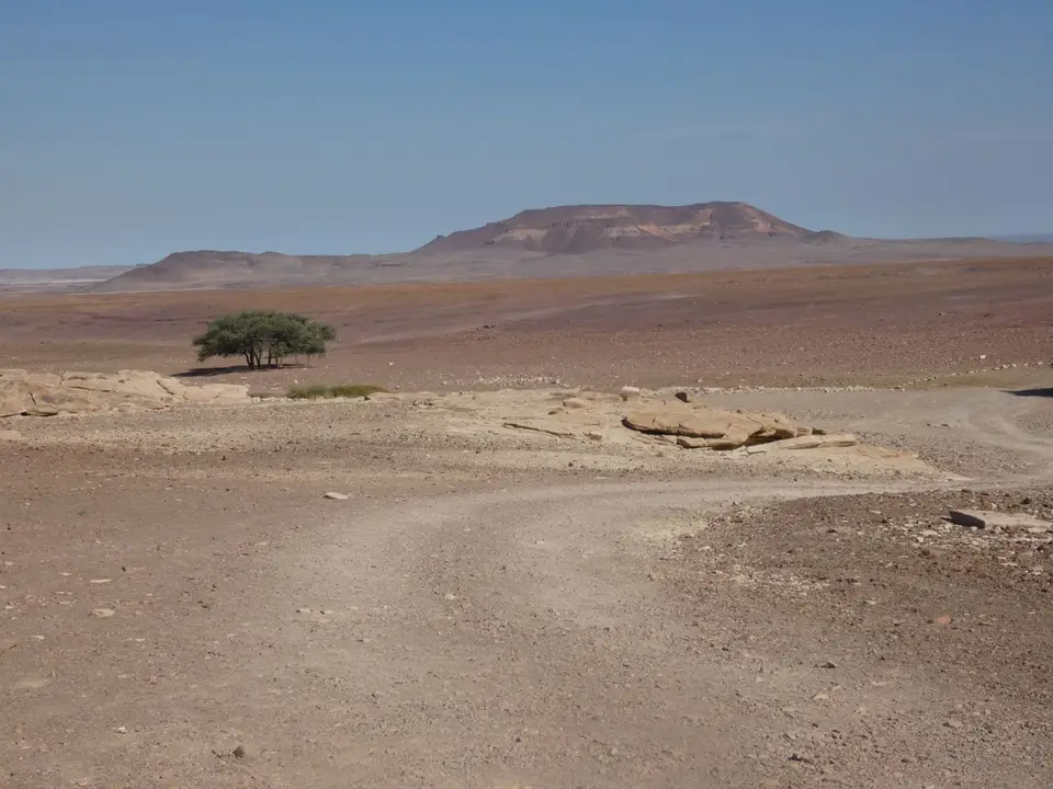 P1090474.JPG