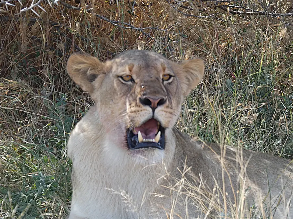 P1110344.JPG