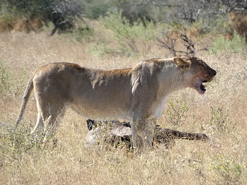P1110364.JPG
