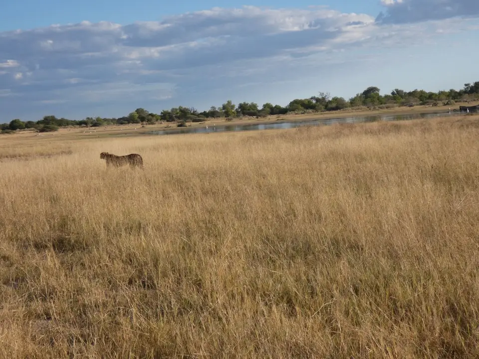 P1110609-2-3.JPG