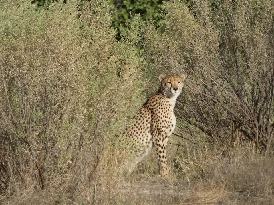 P1110620-2.JPG