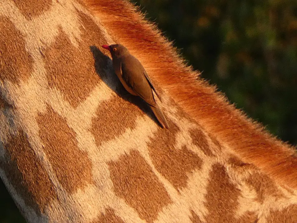 P1120274.JPG