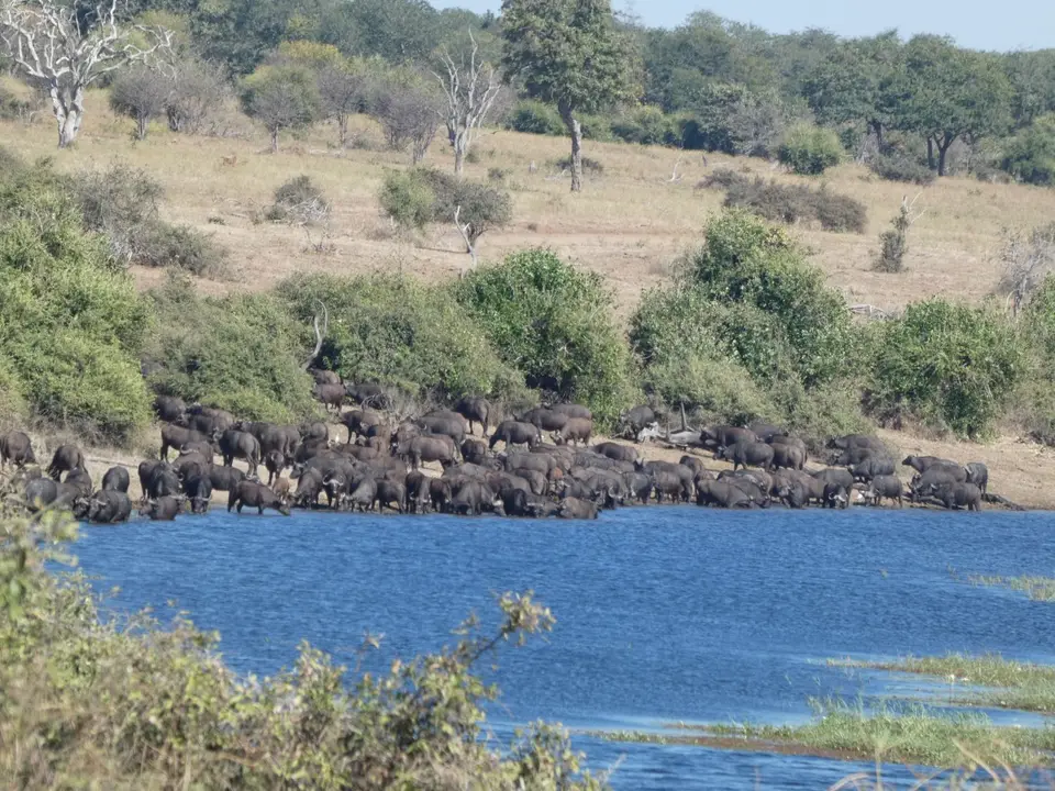 P1120436.JPG