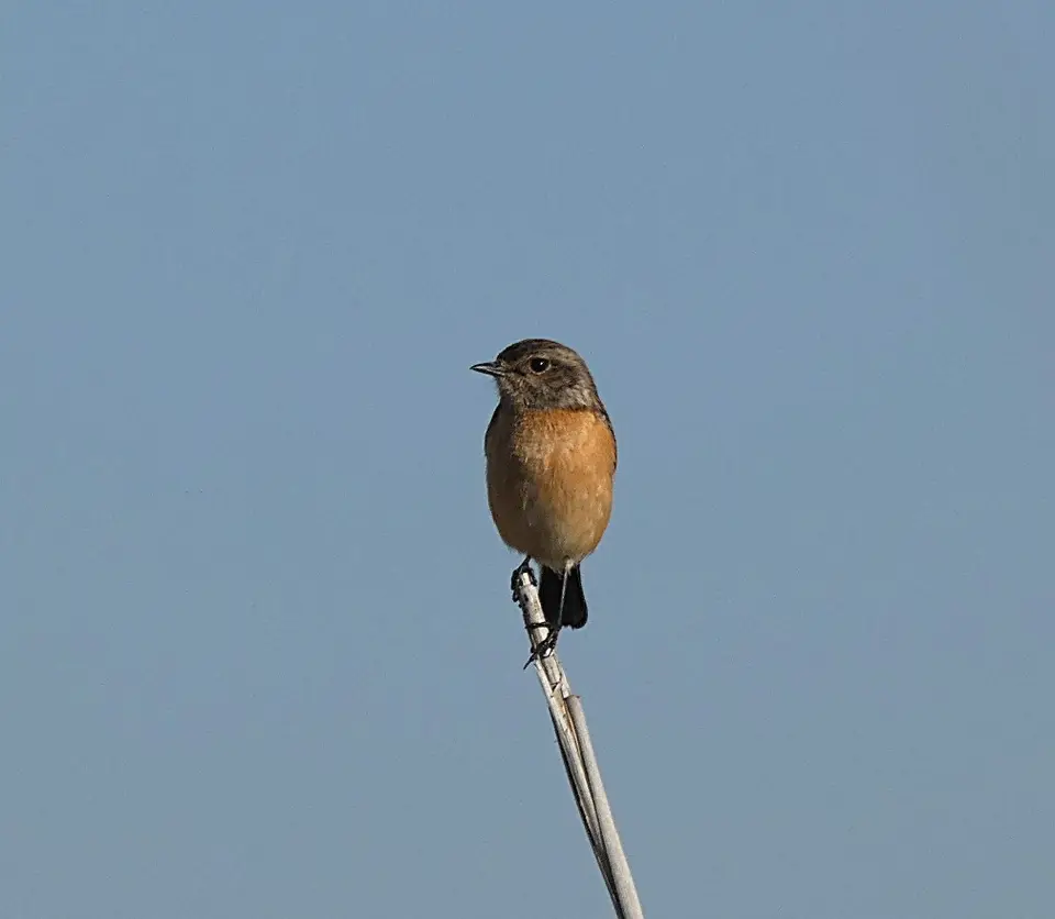 P1120451-2.JPG