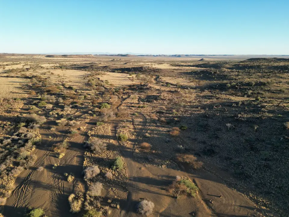dji_fly_20230325_181734_69_1680339375144_photo.jpg
