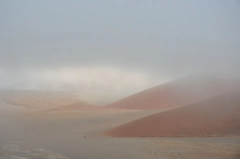 DSC_0266.JPG