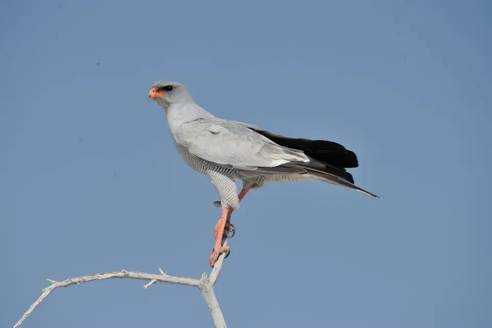 DSC_6074_024.JPG