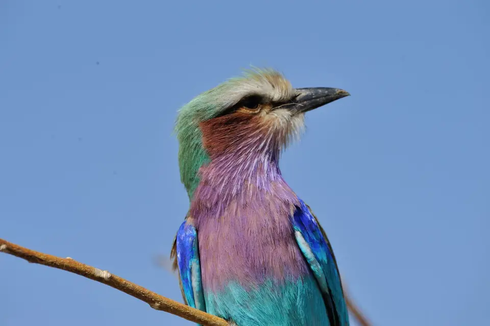 DSC_6367_047.JPG