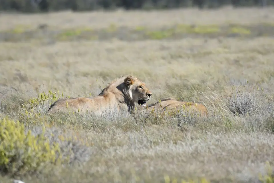 Namibia_2017_00002-2-3-4-5-6.jpg