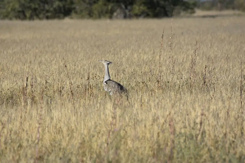 Namibia_2017_00003-2.jpg