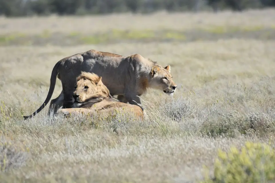 Namibia_2017_00004-2-3-4-5-6-7.jpg