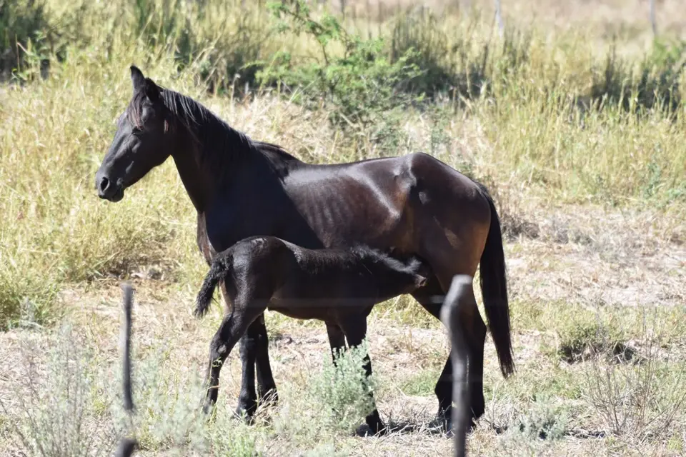 Namibia_2017_00004-2-3-4-5.jpg