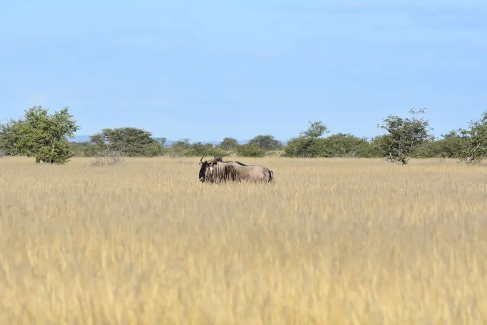 Namibia_2017_00004-2.jpg