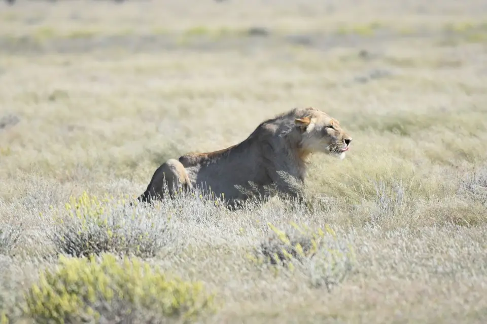 Namibia_2017_00006-2-3-4-5-6-7.jpg