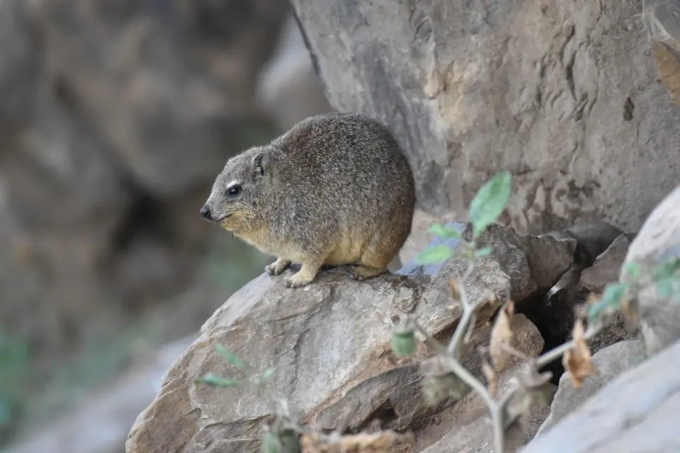Namibia_2017_00006-2-3-4-5-6.jpg