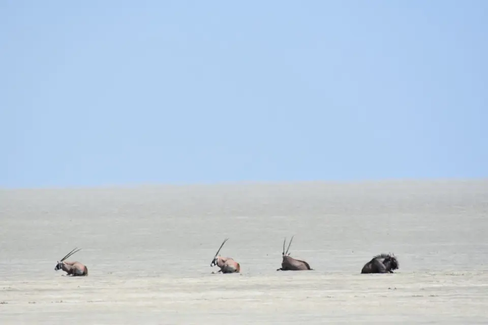 Namibia_2017_00006-2-3.jpg