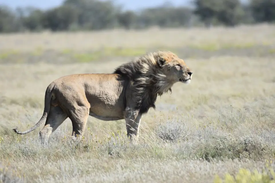 Namibia_2017_00007-2-3-4-5-6-7.jpg