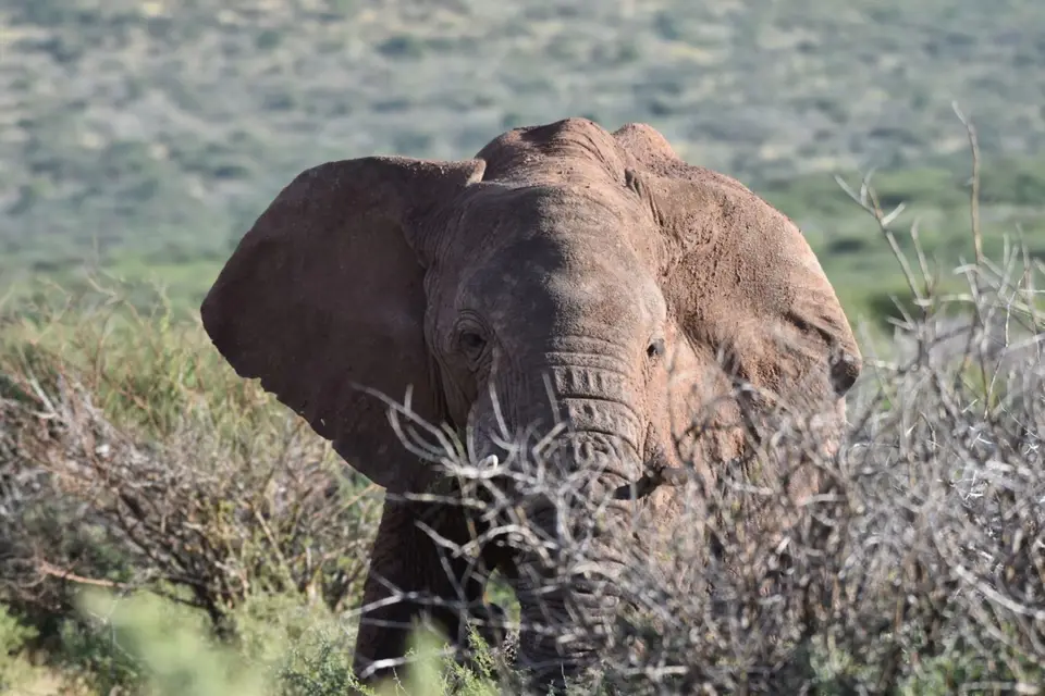 Namibia_2017_00007.jpg
