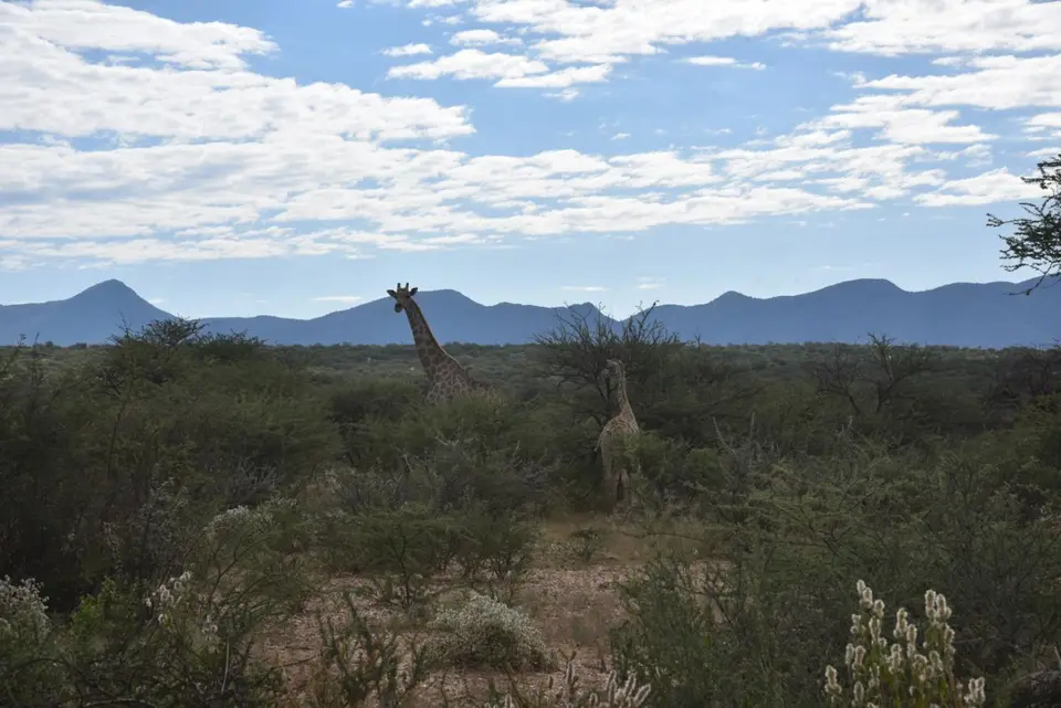 Namibia_2017_00009-2-3-4-5-6.jpg