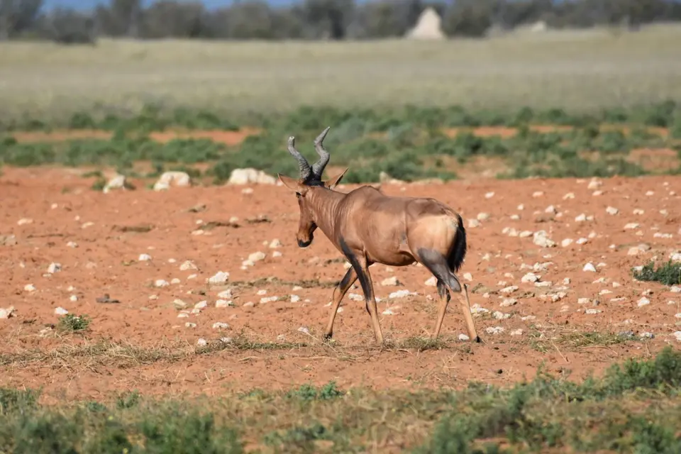 Namibia_2017_00009-2.jpg