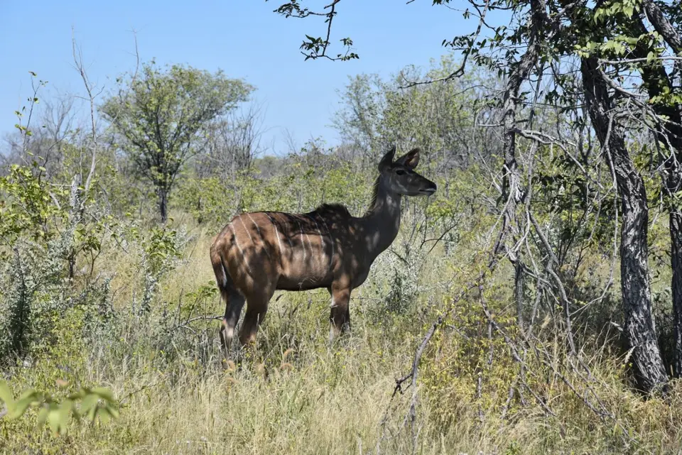 Namibia_2017_00010-2-3.jpg