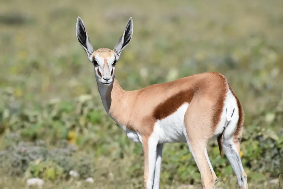 Namibia_2017_00011-2.jpg