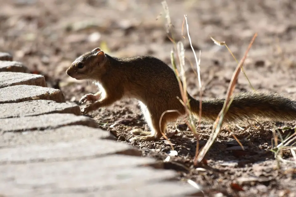 Namibia_2017_00012-2-3.jpg
