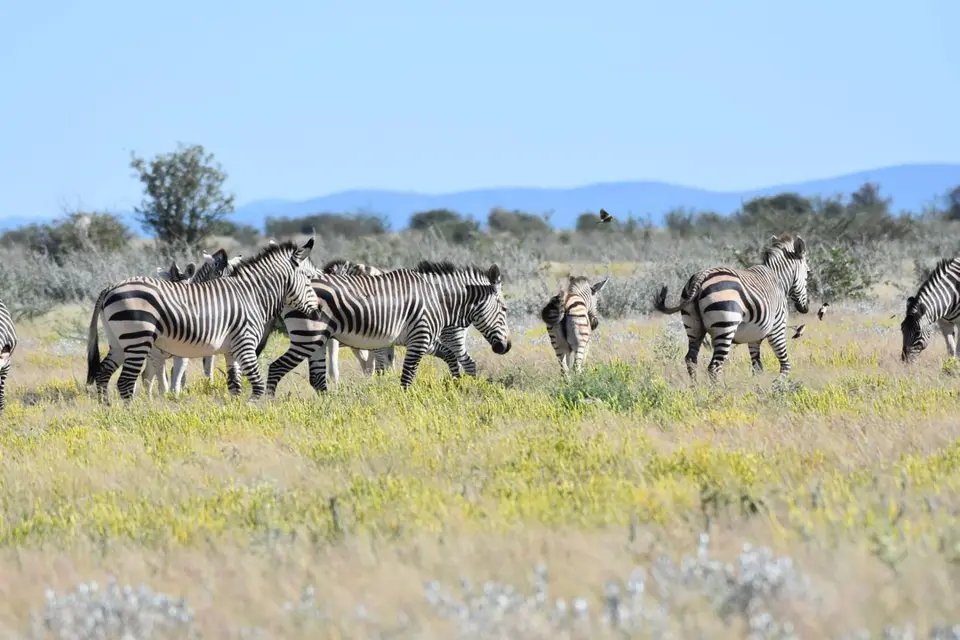 Namibia_2017_00012-2.jpg