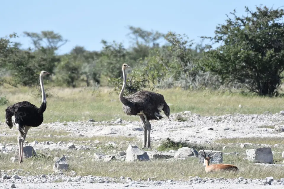 Namibia_2017_00013.jpg