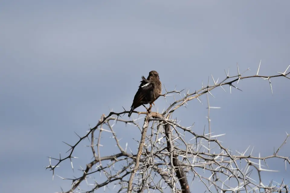 Namibia_2017_00014-2-3-4.jpg