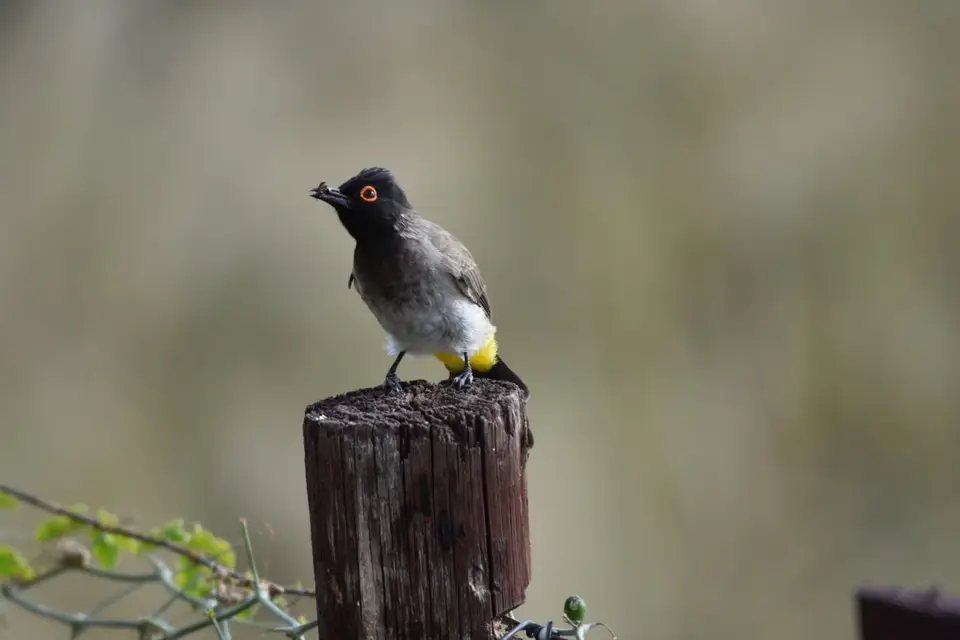Namibia_2017_00014-2-3.jpg