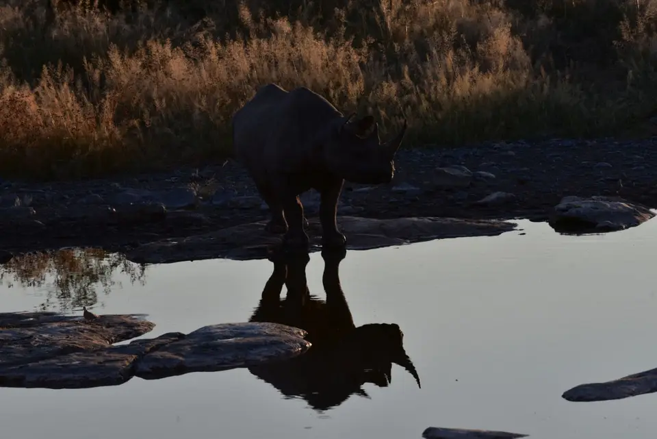 Namibia_2017_00014-2.jpg