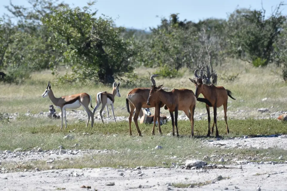 Namibia_2017_00014.jpg