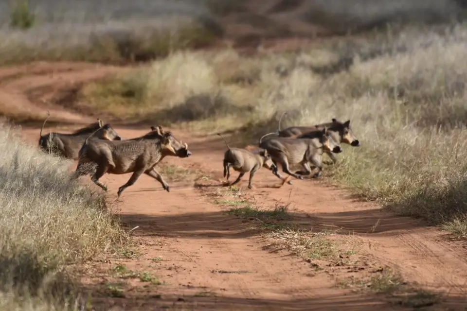 Namibia_2017_00015-2-3-4.jpg