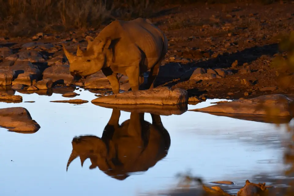 Namibia_2017_00015-2-3.jpg