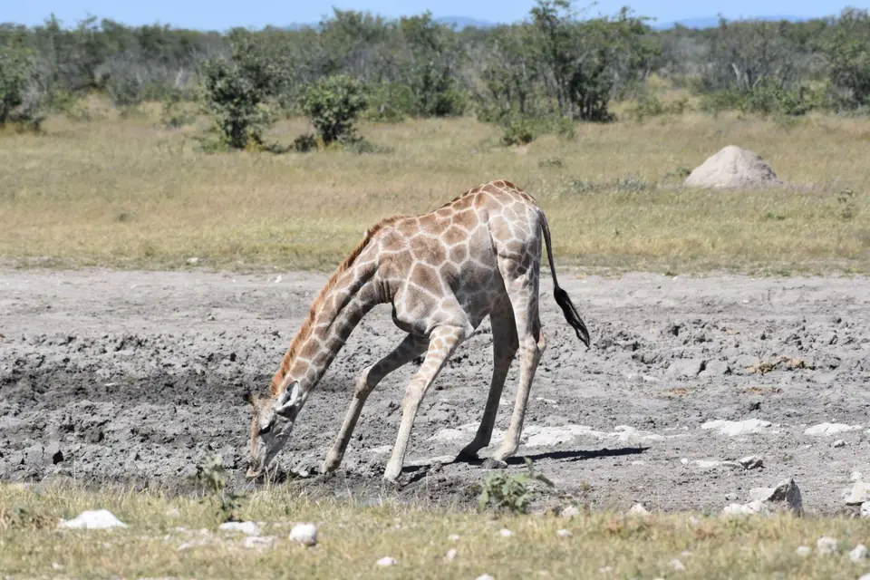Namibia_2017_00022.jpg