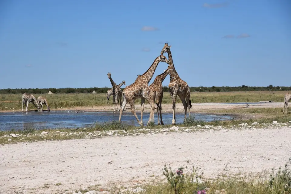 Namibia_2017_00023.jpg