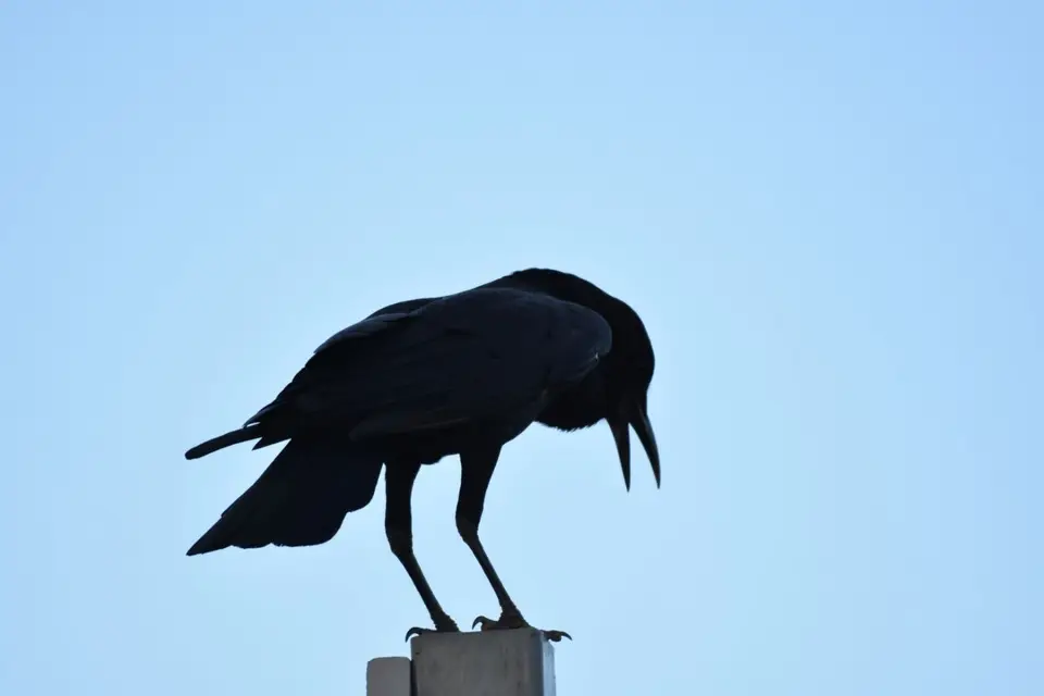 Namibia_2017_00025.jpg