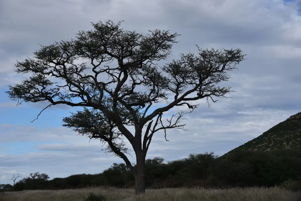 Namibia_2017_20003.jpg