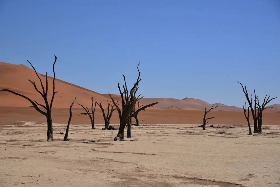 Namibia_2018_Teil_5_00007.jpg