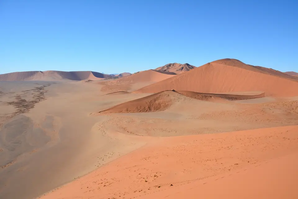 Vlei6.JPG