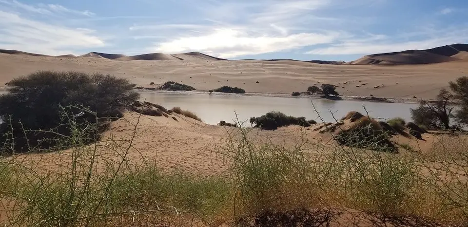 k-20210516_154910.jpg
