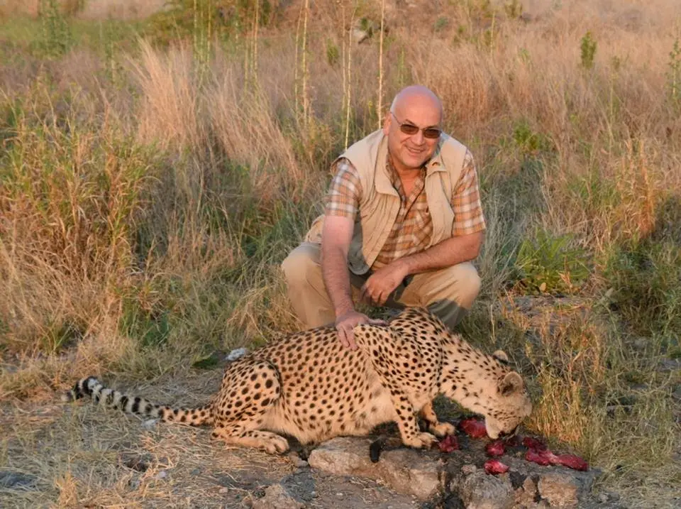 Gepard1.jpg