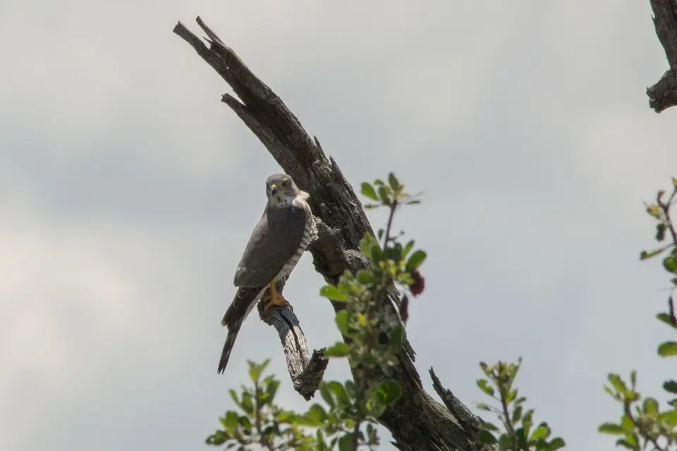 DSC_6712.jpg