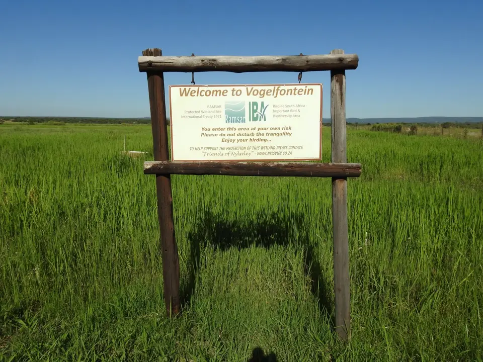 DSCN5151.JPG